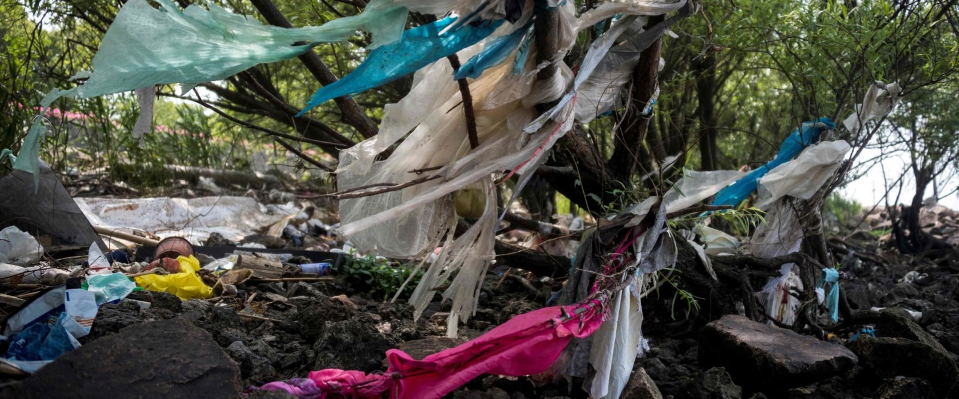 What are the negative effects of plastic bags?